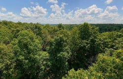 Tract 5 UPPER JANES CREEK ROAD, Ravenden, AR 72459