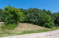 12 Saddleback Drive, GALENA, IL 61036