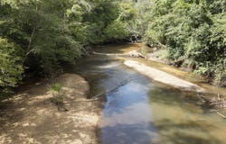 Walker Springs Road, Tract 4, Jackson, AL 36545