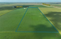 290th Street, Clarion, IA 50525