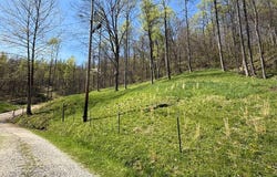 270 Hannah Fork, Hager Hill, KY 41222