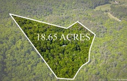 66 Windy Hill Drive, Cherry Log, GA 30522