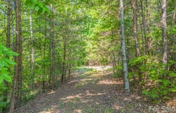 2 Jackson Cove Road W, Mill Spring, NC 28756