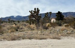 Mono Road, Pinon Hills, CA 92372