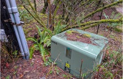 NE BERRY Rd, BattleGround, WA 98604