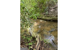 Mill Trace Court, Cleveland, GA 30528