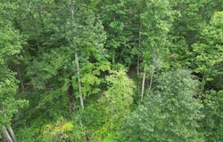 1531 Easter Hollow Road, Ridgeview, WV 25169