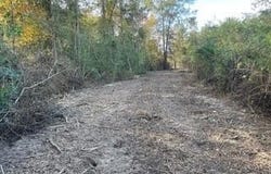 1043 Hwy 24 W, McComb, MS 39648