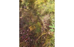 TBD41 Iron Belle Trail, Covington, MI 49919