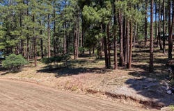 79 Spruce Way, Bayfield, CO 81122