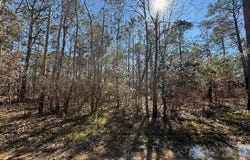 1869 Cedar Creek Circle, Coden, AL 36523