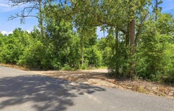 Bel Fire Tower Road, Reeves, LA 70658