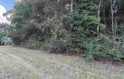 20500-A Block Us Hwy 31, Flomaton, AL 36441