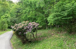Lakeview Village, Prestonsburg, KY 41653