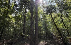 Church Road, Goodman, MS 39079