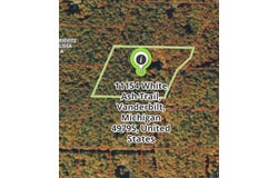 11154 WHITE ASH TRAIL, VANDERBILT, MI 49795