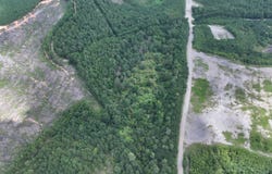 Brookwood Rd, Adger, AL 35444