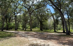 1587 NE 930th St, Old Town, FL 32680