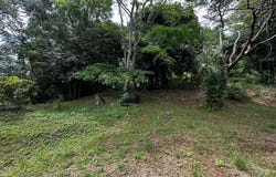 Pr-354 Km 6.4 MARINI COMMUNITY - QUEMADO WARD, MAYAGUEZ, 00680