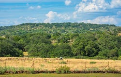 1070 Tullos Ln, Mason, TX 76856