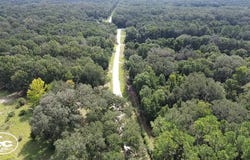 NE 247th Ave, Old Town, FL 32680