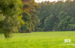 Bromely Road, Stapleton, AL 36578