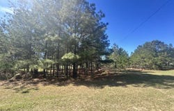 Santee Lumber Road, Santee, SC 29142