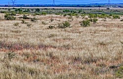 576 Seabourn Road, Henrietta, TX 76365