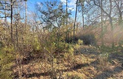 485 Hillcrest Dr., Lumberton, TX 77657