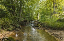 Snake Hollow Rd, Sneedville, TN 37869