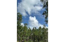 3525 43 Ave, NE, Naples, FL 34120