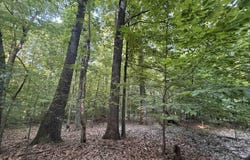 00 SFC 415 county rd 415, Widener, AR 72335