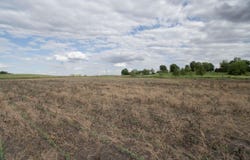 S 700 E, Avilla, IN 46710-9753