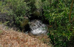 Tract 13 Luis O Torres Rd, Arroyo Seco, NM 87415