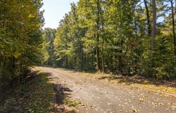 Abbott Mill Road lot: 22,23,0, Ellijay, GA 30540