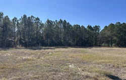 Nhn W 4th Street, Waveland, MS 39576