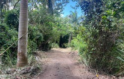 Adjuntas, Adjuntas, PR 00601
