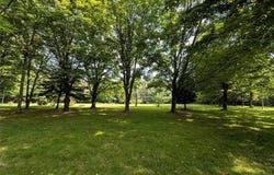 8880 Hemlock Road, Avoca, NY 14809