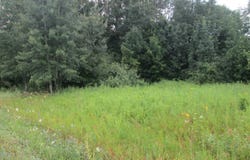 W Muskrat Road, Sidney, MI 48885