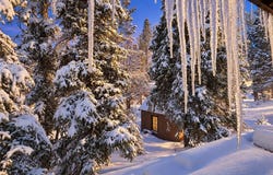 42795 Cougar, Big Bear Lake, CA 92315