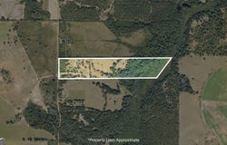 780 Jenkins Road, Blakely, GA 39823