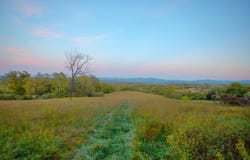Stonewood Trace, Lexington, VA 24450