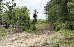 Willamette Rd, Bennettsville, SC 29512