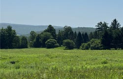 Wilbur Hill Road, Butternuts, NY 13776