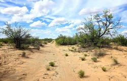 Sands St, Imperial, TX 79743