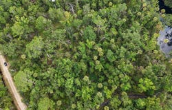 2338 NE Ancient Oaks Dr, Steinhatchee, FL 32359