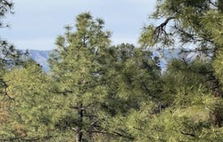 700 N Tyler Parkway, Payson, AZ 85541