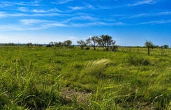 20 A CR 144, Brady, TX 76825