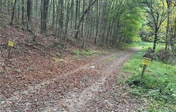 Stramba Road, Cincinnatus, NY 13040