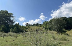 Dryfork Road, Dryfork, WV 26263